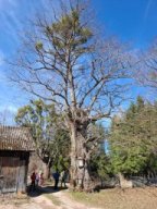 Wanderung-Wiesenbach-2026-04